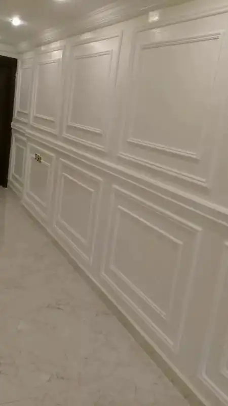 صباغ ممتاز في حولي 55758550